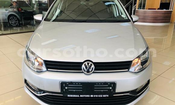 اشتري مستعمل Volkswagen Polo Silver سيارة في Maseru في Maseru اشتري مستعمل Volkswagen Polo Silver سيارة في Maseru في Maseru