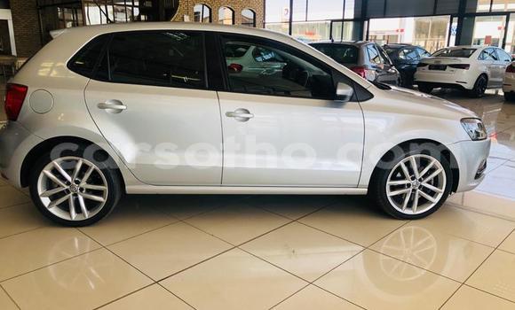 اشتري مستعمل Volkswagen Polo Silver سيارة في Maseru في Maseru اشتري مستعمل Volkswagen Polo Silver سيارة في Maseru في Maseru