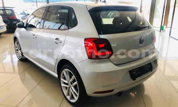 اشتري مستعمل Volkswagen Polo Silver سيارة في Maseru في Maseru اشتري مستعمل Volkswagen Polo Silver سيارة في Maseru في Maseru