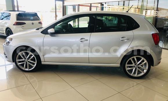 اشتري مستعمل Volkswagen Polo Silver سيارة في Maseru في Maseru اشتري مستعمل Volkswagen Polo Silver سيارة في Maseru في Maseru