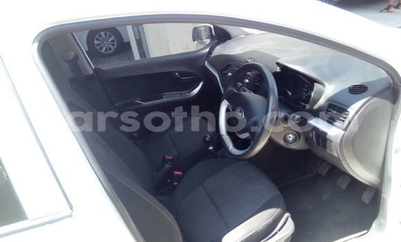 Sayi Na hannu Kia Picanto White Mota in Thaba–Tseka a Mafeteng Sayi Na hannu Kia Picanto White Mota in Thaba–Tseka a Mafeteng