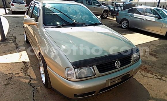Buy Used Volkswagen Polo Other Car in Maputsoa in Leribe Buy Used Volkswagen Polo Other Car in Maputsoa in Leribe