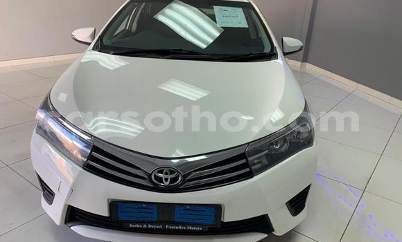 Buy Used Toyota Corolla White Car in Maseru in Maseru Buy Used Toyota Corolla White Car in Maseru in Maseru