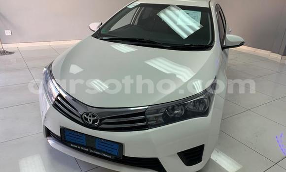 Buy Used Toyota Corolla White Car in Maseru in Maseru Buy Used Toyota Corolla White Car in Maseru in Maseru