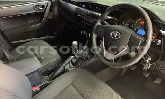 Buy Used Toyota Corolla White Car in Maseru in Maseru Buy Used Toyota Corolla White Car in Maseru in Maseru