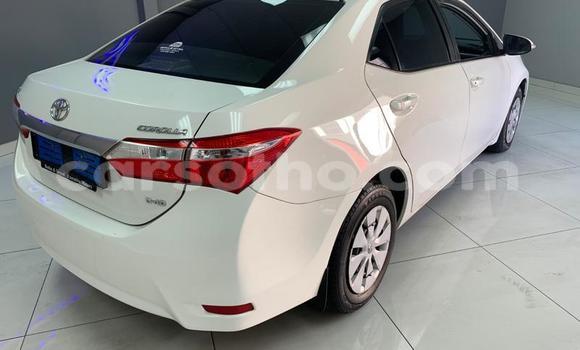 Buy Used Toyota Corolla White Car in Maseru in Maseru Buy Used Toyota Corolla White Car in Maseru in Maseru