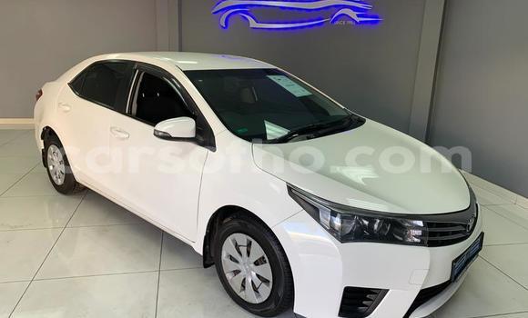 Buy Used Toyota Corolla White Car in Maseru in Maseru Buy Used Toyota Corolla White Car in Maseru in Maseru