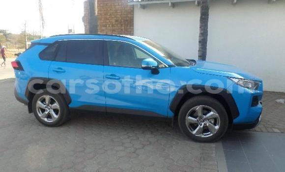 اشتري مستعمل Toyota RAV4 Blue سيارة في Maseru في Maseru اشتري مستعمل Toyota RAV4 Blue سيارة في Maseru في Maseru