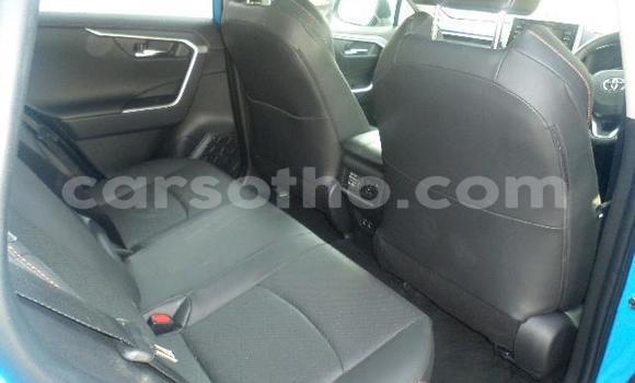 اشتري مستعمل Toyota RAV4 Blue سيارة في Maseru في Maseru اشتري مستعمل Toyota RAV4 Blue سيارة في Maseru في Maseru