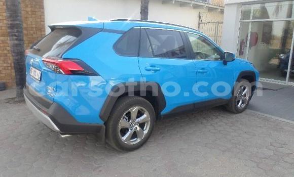 اشتري مستعمل Toyota RAV4 Blue سيارة في Maseru في Maseru اشتري مستعمل Toyota RAV4 Blue سيارة في Maseru في Maseru