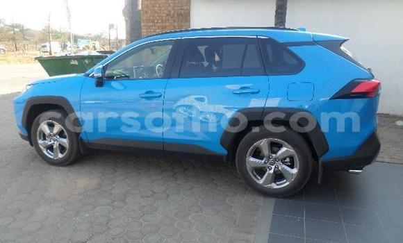 اشتري مستعمل Toyota RAV4 Blue سيارة في Maseru في Maseru اشتري مستعمل Toyota RAV4 Blue سيارة في Maseru في Maseru