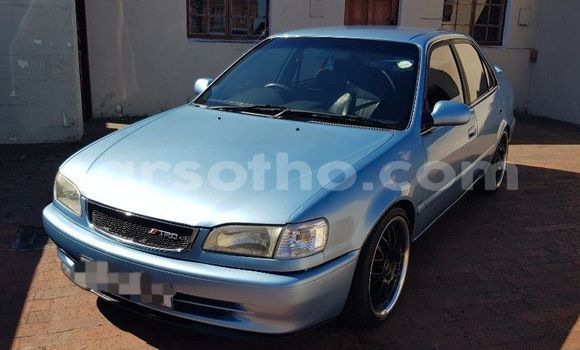Buy Used Toyota Corolla Blue Car in Butha–Buthe in Thaba-Tseka Buy Used Toyota Corolla Blue Car in Butha–Buthe in Thaba-Tseka