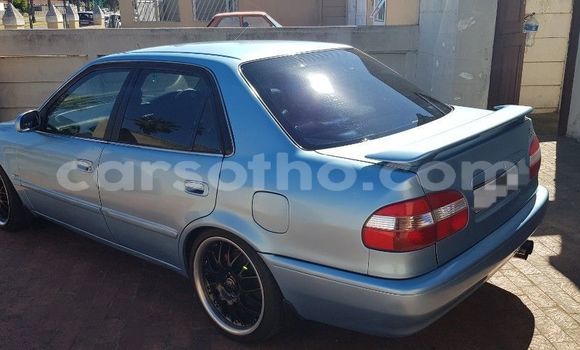 Buy Used Toyota Corolla Blue Car in Butha–Buthe in Thaba-Tseka Buy Used Toyota Corolla Blue Car in Butha–Buthe in Thaba-Tseka