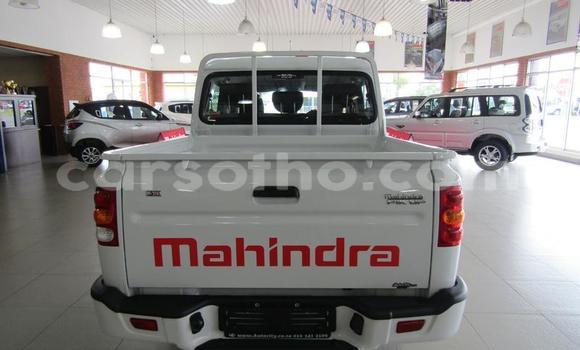 Buy Used Mahindra Armada White Car in Maseru in Maseru Buy Used Mahindra Armada White Car in Maseru in Maseru