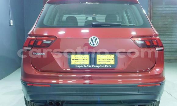 اشتري مستعمل Volkswagen Tiguan Other سيارة في Maputsoa في Leribe اشتري مستعمل Volkswagen Tiguan Other سيارة في Maputsoa في Leribe