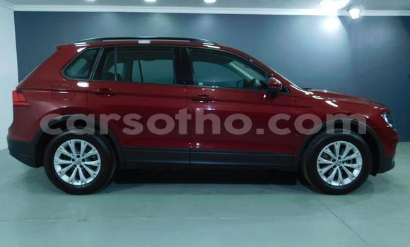 اشتري مستعمل Volkswagen Tiguan Other سيارة في Maputsoa في Leribe اشتري مستعمل Volkswagen Tiguan Other سيارة في Maputsoa في Leribe