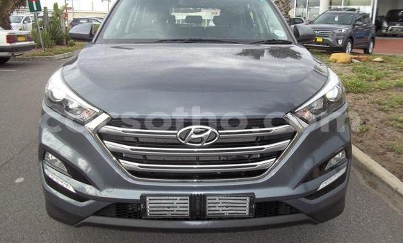 اشتري مستعمل Hyundai Tucson Silver سيارة في Maseru في Maseru اشتري مستعمل Hyundai Tucson Silver سيارة في Maseru في Maseru