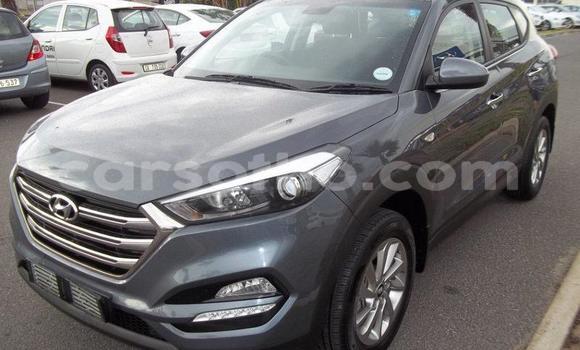 اشتري مستعمل Hyundai Tucson Silver سيارة في Maseru في Maseru اشتري مستعمل Hyundai Tucson Silver سيارة في Maseru في Maseru