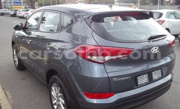 اشتري مستعمل Hyundai Tucson Silver سيارة في Maseru في Maseru اشتري مستعمل Hyundai Tucson Silver سيارة في Maseru في Maseru