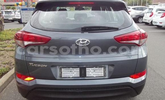 اشتري مستعمل Hyundai Tucson Silver سيارة في Maseru في Maseru اشتري مستعمل Hyundai Tucson Silver سيارة في Maseru في Maseru