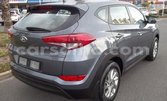 اشتري مستعمل Hyundai Tucson Silver سيارة في Maseru في Maseru اشتري مستعمل Hyundai Tucson Silver سيارة في Maseru في Maseru