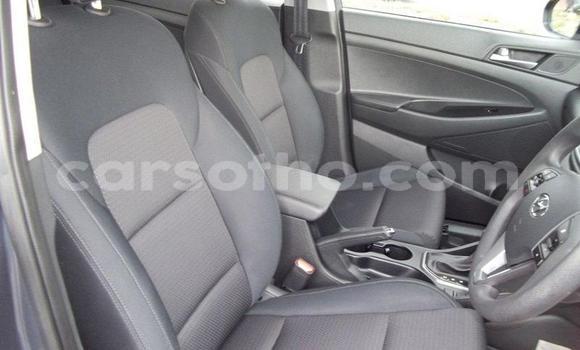 اشتري مستعمل Hyundai Tucson Silver سيارة في Maseru في Maseru اشتري مستعمل Hyundai Tucson Silver سيارة في Maseru في Maseru