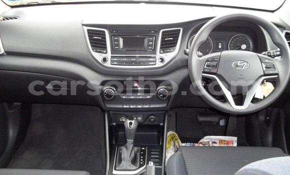 اشتري مستعمل Hyundai Tucson Silver سيارة في Maseru في Maseru اشتري مستعمل Hyundai Tucson Silver سيارة في Maseru في Maseru