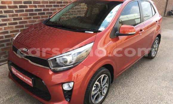 اشتري مستعمل Kia Picanto Other سيارة في Maseru في Maseru اشتري مستعمل Kia Picanto Other سيارة في Maseru في Maseru