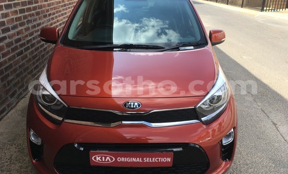 اشتري مستعمل Kia Picanto Other سيارة في Maseru في Maseru اشتري مستعمل Kia Picanto Other سيارة في Maseru في Maseru