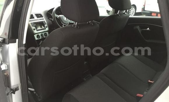 اشتري مستعمل Volkswagen Polo Silver سيارة في Maseru في Maseru اشتري مستعمل Volkswagen Polo Silver سيارة في Maseru في Maseru