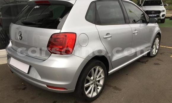 اشتري مستعمل Volkswagen Polo Silver سيارة في Maseru في Maseru اشتري مستعمل Volkswagen Polo Silver سيارة في Maseru في Maseru