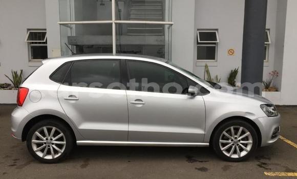 اشتري مستعمل Volkswagen Polo Silver سيارة في Maseru في Maseru اشتري مستعمل Volkswagen Polo Silver سيارة في Maseru في Maseru
