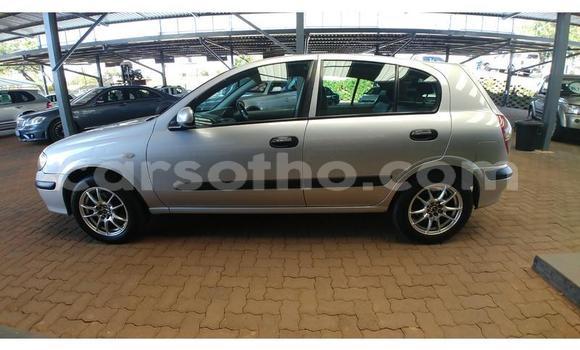 Acheter Occasion Voiture Nissan Almera Gris à Maseru, Maseru Acheter Occasion Voiture Nissan Almera Gris à Maseru, Maseru