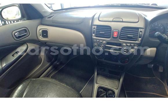 Acheter Occasion Voiture Nissan Almera Gris à Maseru, Maseru Acheter Occasion Voiture Nissan Almera Gris à Maseru, Maseru