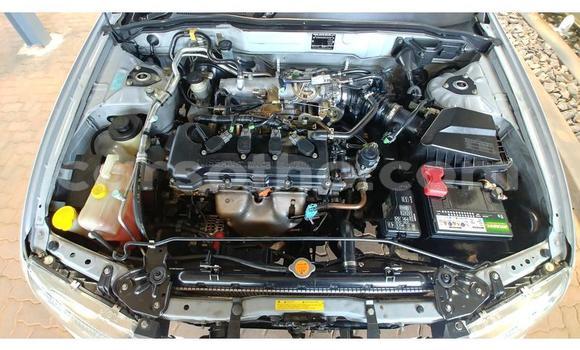 Acheter Occasion Voiture Nissan Almera Gris à Maseru, Maseru Acheter Occasion Voiture Nissan Almera Gris à Maseru, Maseru