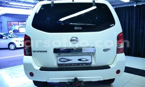 Buy Used Nissan Pathfinder White Car in Maputsoe in Leribe Buy Used Nissan Pathfinder White Car in Maputsoe in Leribe