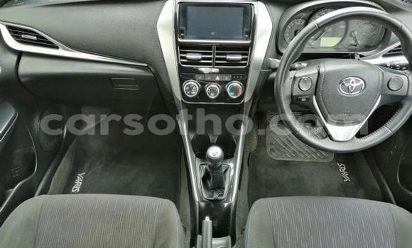 Buy Used Toyota Yaris Silver Car in Maseru in Maseru Buy Used Toyota Yaris Silver Car in Maseru in Maseru