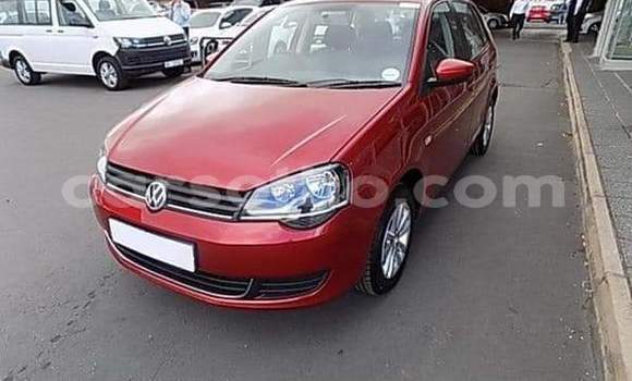 اشتري مستعمل Volkswagen Polo Red سيارة في Maseru في Maseru اشتري مستعمل Volkswagen Polo Red سيارة في Maseru في Maseru