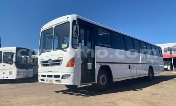 اشتري مستعمل Hino Ranger White شاحنة في Maputsoe في Leribe اشتري مستعمل Hino Ranger White شاحنة في Maputsoe في Leribe