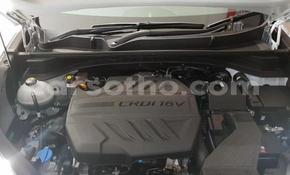 Sayi Na hannu Kia Sportage White Mota in Roma a Maseru Sayi Na hannu Kia Sportage White Mota in Roma a Maseru