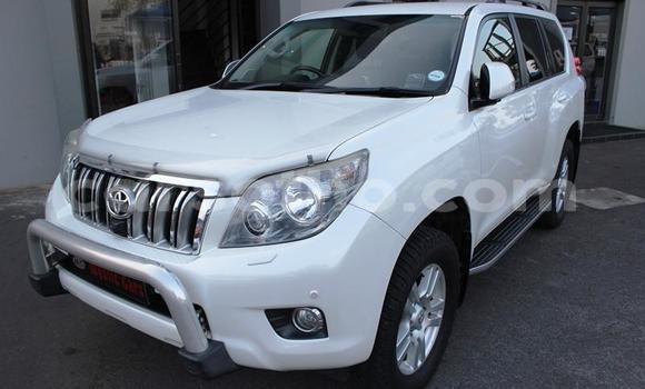 اشتري مستعمل Toyota Land Cruiser Prado White سيارة في Maputsoe في Leribe اشتري مستعمل Toyota Land Cruiser Prado White سيارة في Maputsoe في Leribe