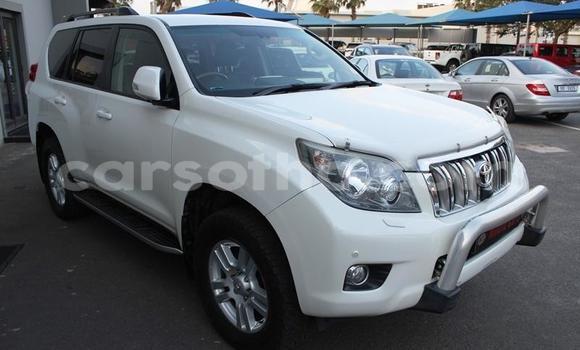 اشتري مستعمل Toyota Land Cruiser Prado White سيارة في Maputsoe في Leribe اشتري مستعمل Toyota Land Cruiser Prado White سيارة في Maputsoe في Leribe