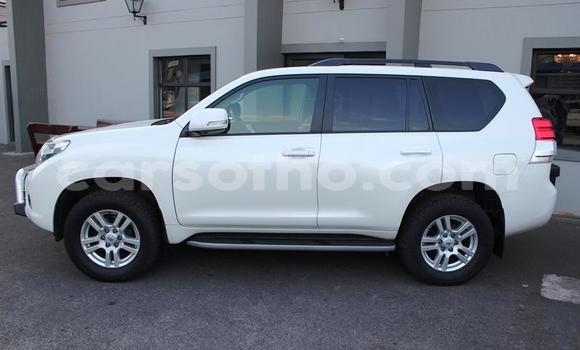 اشتري مستعمل Toyota Land Cruiser Prado White سيارة في Maputsoe في Leribe اشتري مستعمل Toyota Land Cruiser Prado White سيارة في Maputsoe في Leribe
