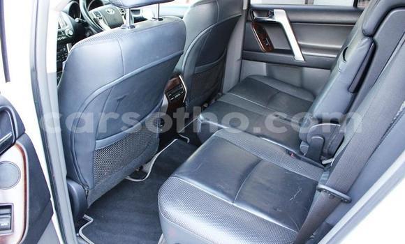 اشتري مستعمل Toyota Land Cruiser Prado White سيارة في Maputsoe في Leribe اشتري مستعمل Toyota Land Cruiser Prado White سيارة في Maputsoe في Leribe