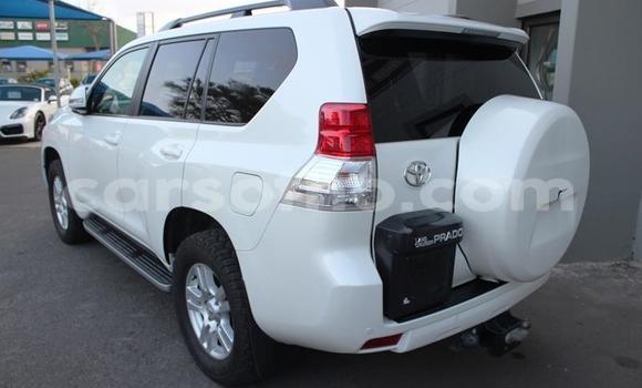 اشتري مستعمل Toyota Land Cruiser Prado White سيارة في Maputsoe في Leribe اشتري مستعمل Toyota Land Cruiser Prado White سيارة في Maputsoe في Leribe