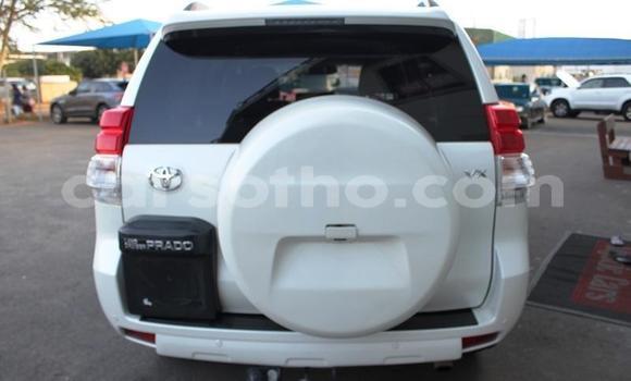 اشتري مستعمل Toyota Land Cruiser Prado White سيارة في Maputsoe في Leribe اشتري مستعمل Toyota Land Cruiser Prado White سيارة في Maputsoe في Leribe