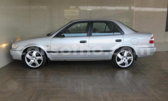 Sayi Na hannu Toyota Corolla Silver Mota in Maputsoe a Leribe Sayi Na hannu Toyota Corolla Silver Mota in Maputsoe a Leribe
