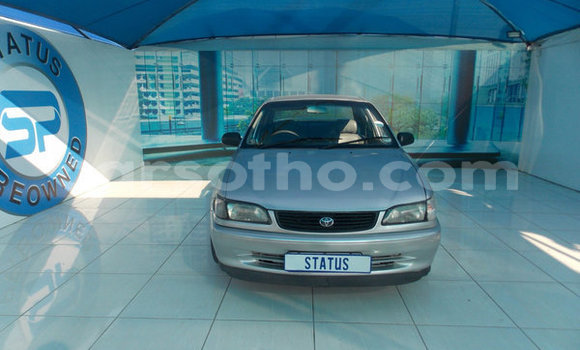 Buy Used Toyota Corolla Silver Car in Mokhotlong in Berea Buy Used Toyota Corolla Silver Car in Mokhotlong in Berea