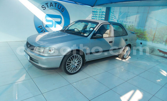 Buy Used Toyota Corolla Silver Car in Mokhotlong in Berea Buy Used Toyota Corolla Silver Car in Mokhotlong in Berea