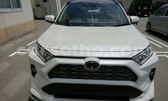 Acheter Occasion Voiture Toyota RAV4 Blanc à Hlotse, Leribe Acheter Occasion Voiture Toyota RAV4 Blanc à Hlotse, Leribe